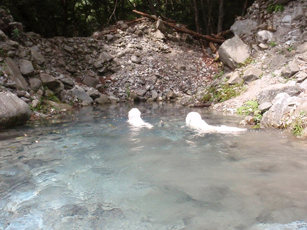 c0110361_14372214.jpg