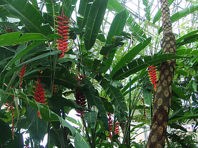 a0015766_0164381.jpg