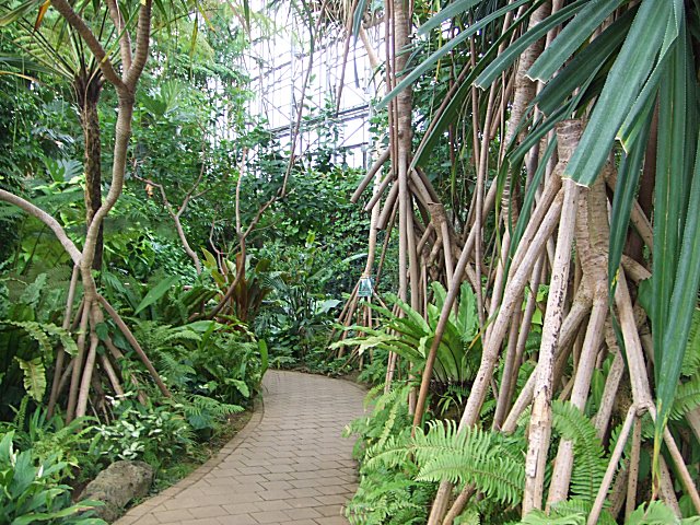 a0015766_0262342.jpg