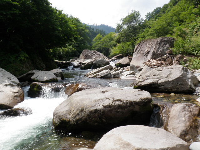 b0120066_183836.jpg