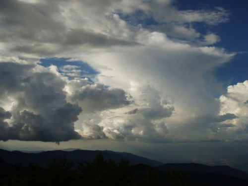 b0050067_03551.jpg