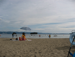 f0082772_21561495.gif