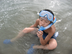 f0082772_21575733.gif