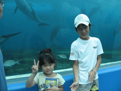 f0082772_2232189.gif