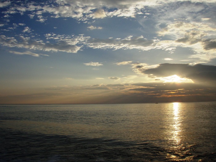 a0169776_918217.jpg