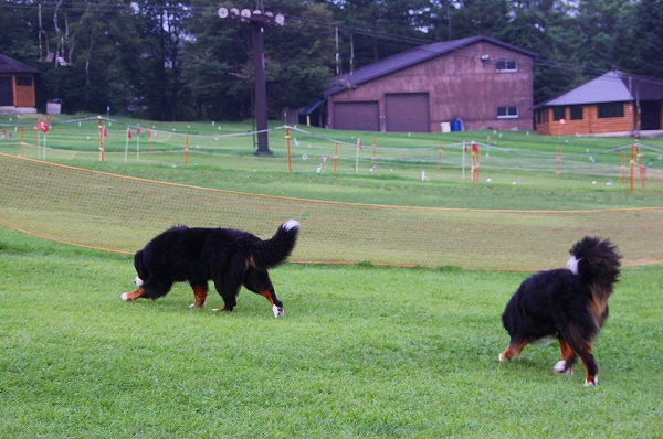 c0149178_1554215.jpg
