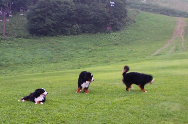 c0149178_16724100.jpg