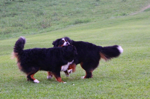 c0149178_1681736.jpg