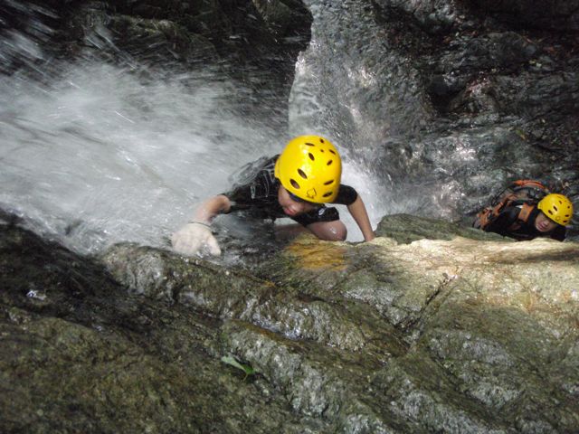 d0079579_1049273.jpg