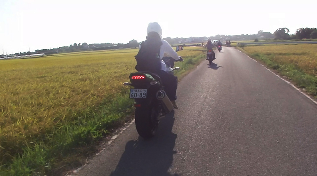 d0099181_1544169.jpg