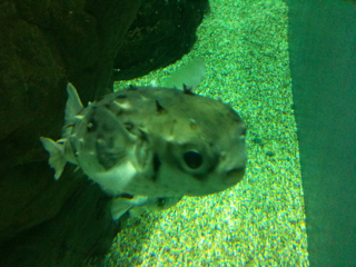 a0021482_2252649.jpg