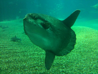 a0021482_2254853.jpg