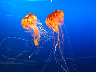 a0021482_226211.jpg