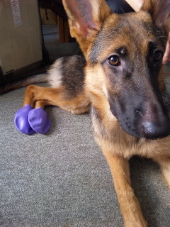 c0209284_0282872.jpg