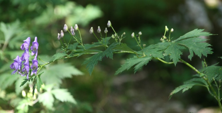 c0144185_1044561.jpg