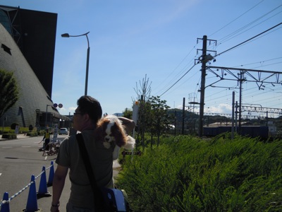 d0044986_2258181.jpg