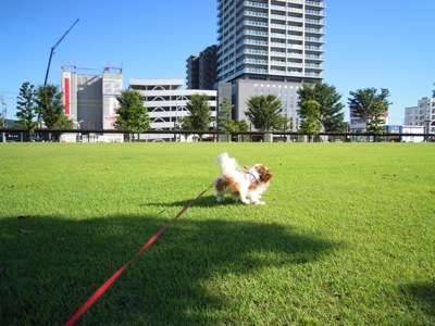 d0044986_2314571.jpg