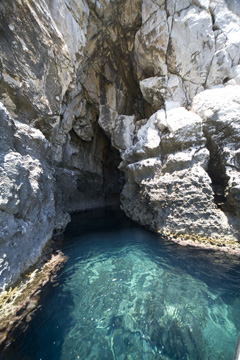 b0109289_1927914.jpg
