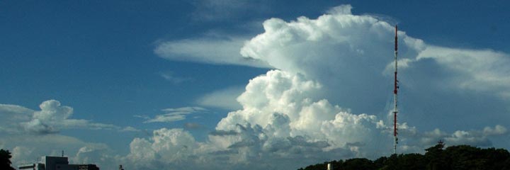 c0170789_1953842.jpg