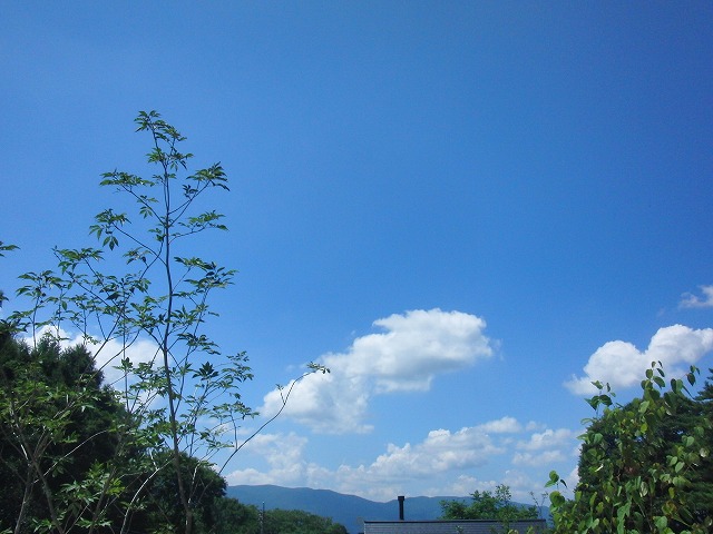 f0079289_8561434.jpg