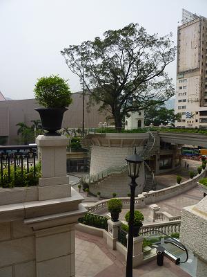 a0159690_1039766.jpg