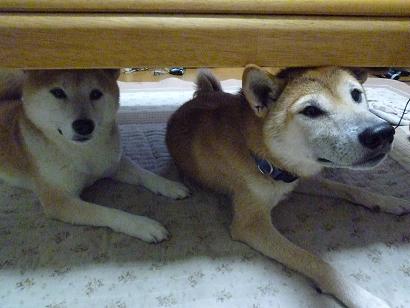 c0123890_2141173.jpg