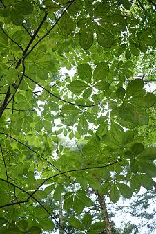 a0091891_18292856.jpg