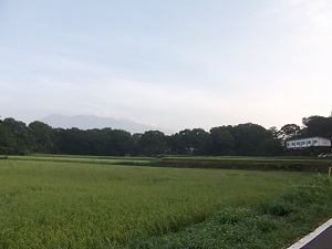 a0164292_0222354.jpg