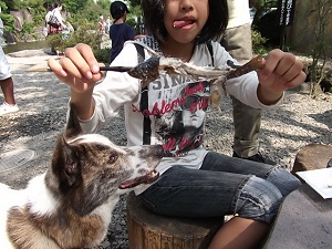 a0164292_0303140.jpg