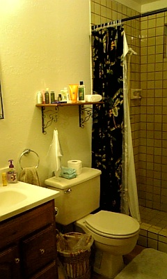 d0073192_21262913.jpg