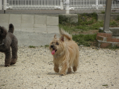 c0086895_22221328.jpg