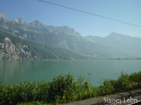 e0088895_20284934.jpg