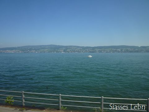 e0088895_20304128.jpg
