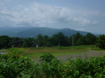 a0127398_211652.jpg