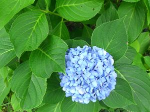 a0138198_15113257.jpg