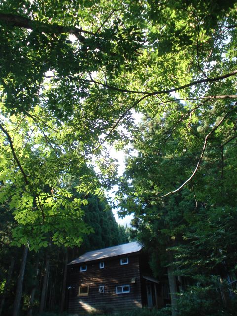a0061599_78193.jpg