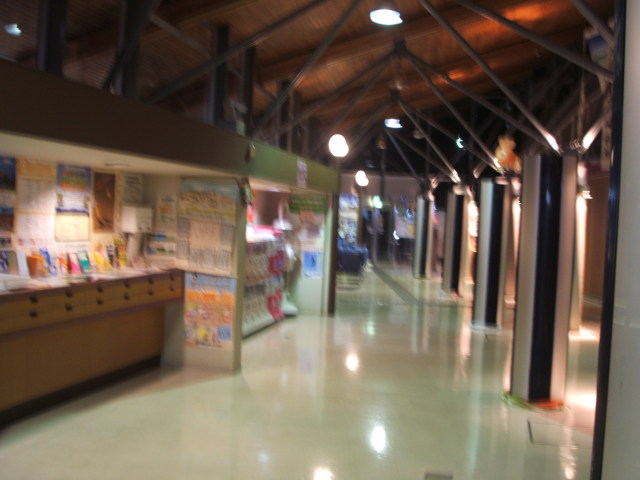 a0116205_22595780.jpg