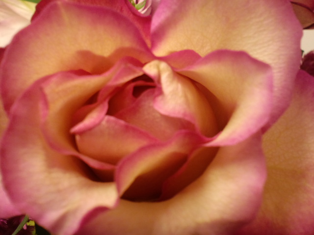 a0088007_0131285.jpg