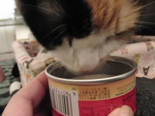 c0201113_21322656.jpg