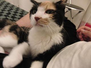 c0201113_21335578.jpg