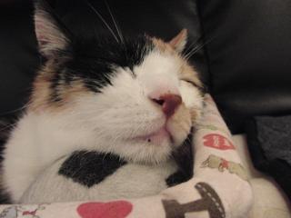 c0201113_21361361.jpg