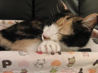 c0201113_21524769.jpg
