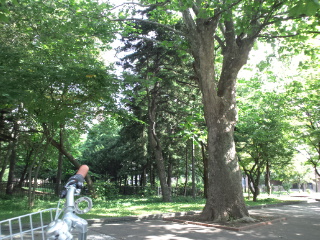 d0169613_1672387.jpg