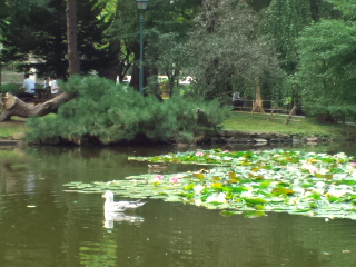 d0169613_1692024.jpg