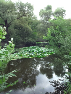 d0169613_1695357.jpg