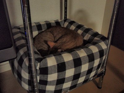 c0145016_143208.jpg