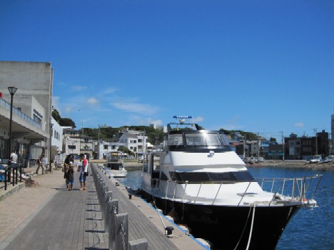 d0083316_10432367.jpg