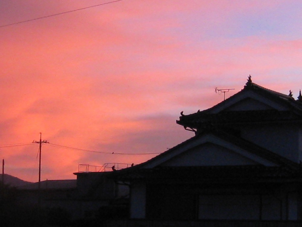 c0197220_914630.jpg