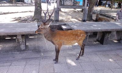 b0102023_22205526.jpg