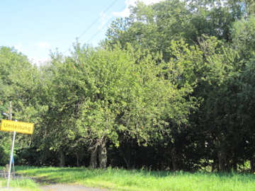 f0229725_031038.jpg